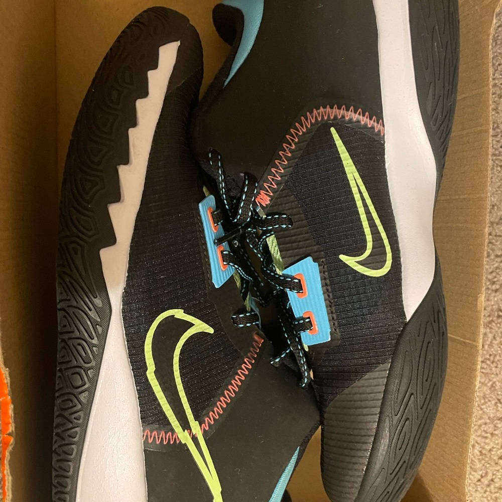 Kyrie flytrap IV